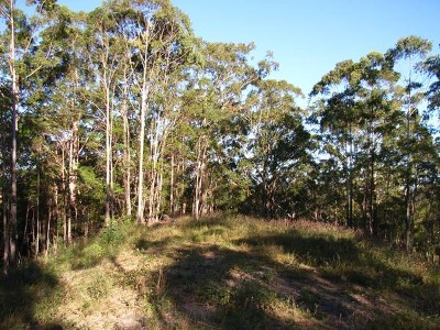 Privacy Plus Views Picture