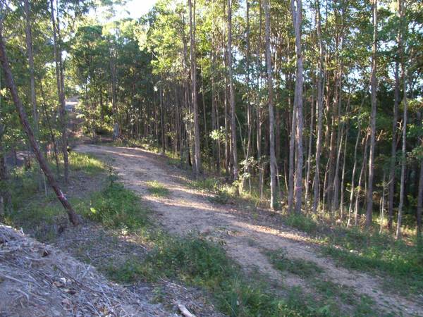 Privacy Plus Views Picture 2