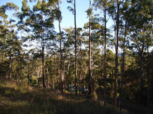 Privacy Plus Views Picture 3