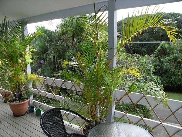 Neat & Sweet, Here's A Bargain Hunters Treat Picture 2