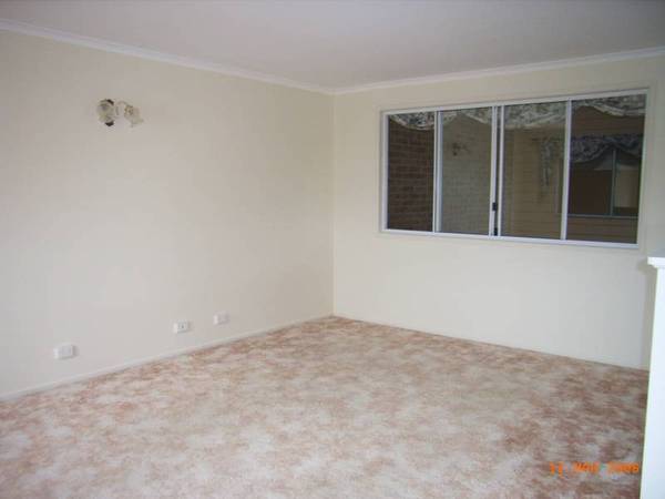 Pure delight Picture 2