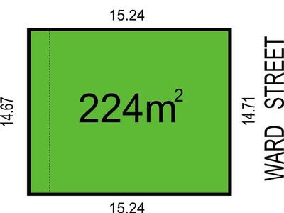 Snap It Up! Picture Snap It Up! Picture