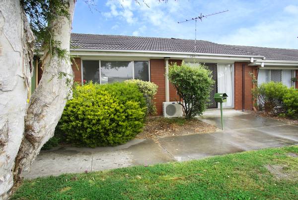 Sensational Investment Picture