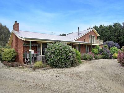 Private Oasis on 10 Acres in Moriac/Modewarre/Gherang Picture