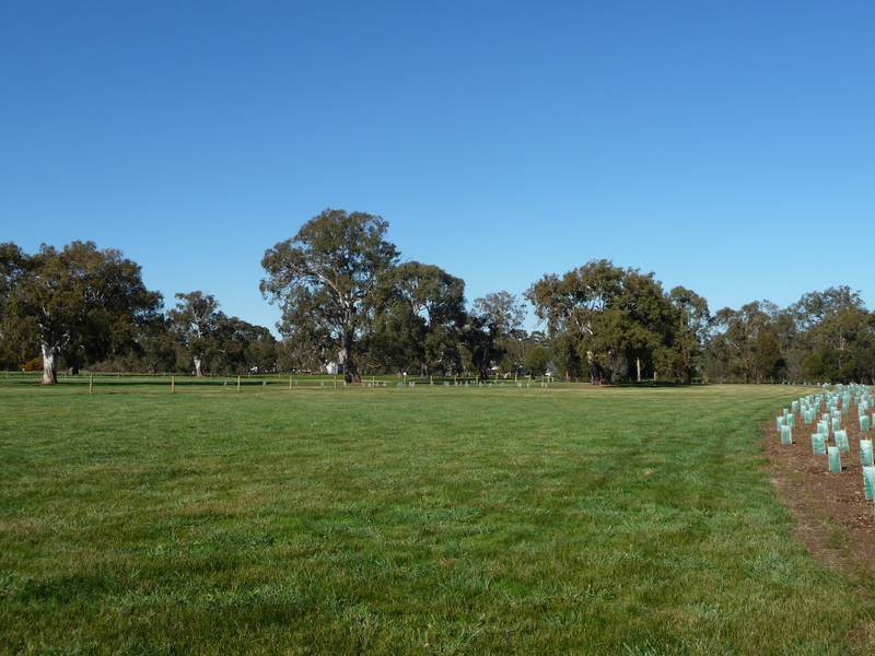 New Land Release Picture 3