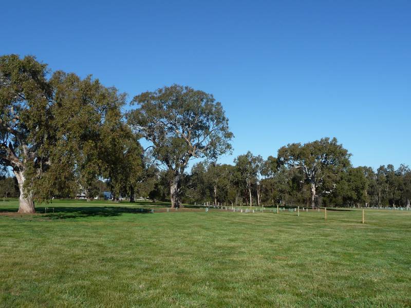 New Land Release Picture 2