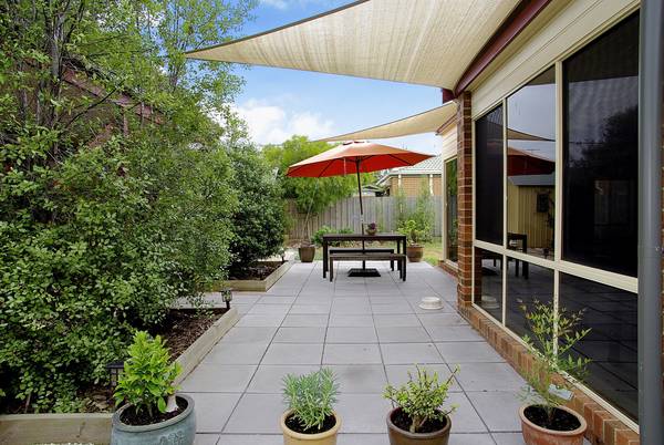 A Little Charmer Picture 2