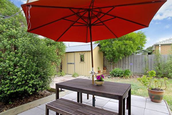 A Little Charmer Picture 3