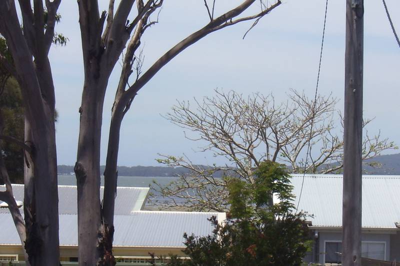 CHECK THIS ONE OUT! Picture 2