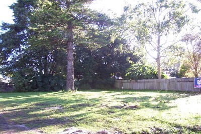 LOOKING FOR LAND IN ALL THE RIGHT PLACES Picture