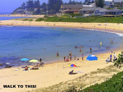 LIFES A BEACH Picture