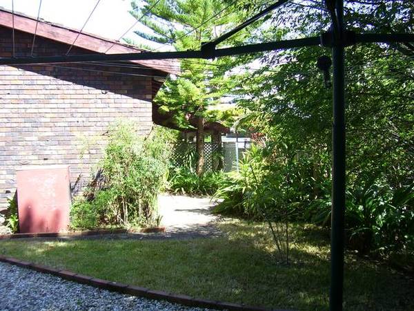 DON'T BE DECEIVED Picture 3