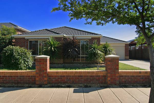 A PLACE WHERE YOU BELONG Picture 2