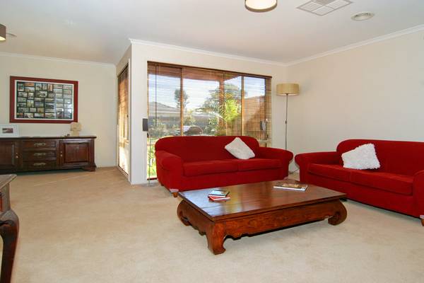 A PLACE WHERE YOU BELONG Picture 3