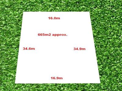 Ready Set Build Picture