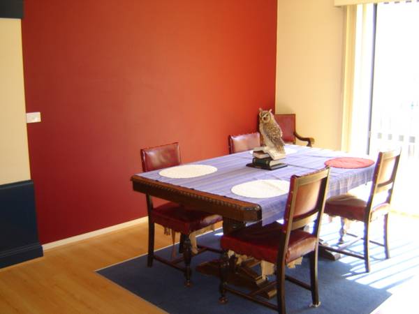 UNIQUE OPEN DESIGN Picture 3