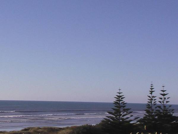 KAPITI'S FINEST Picture 1