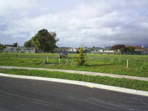 TOTARA PARK, OTAKI Picture 1
