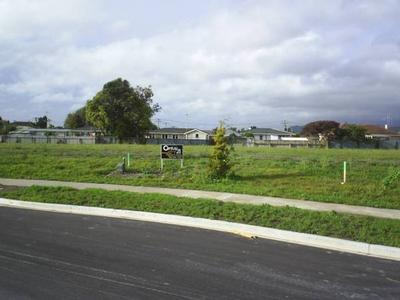 TOTARA PARK, OTAKI Picture