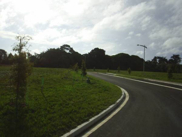 TOTARA PARK, OTAKI Picture 2