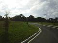 TOTARA PARK, OTAKI Picture