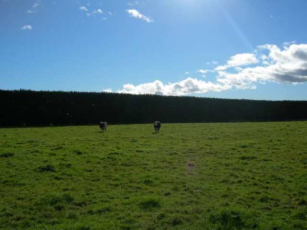 GREAT LOCATION Picture 2