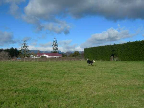 GREAT LOCATION Picture 1