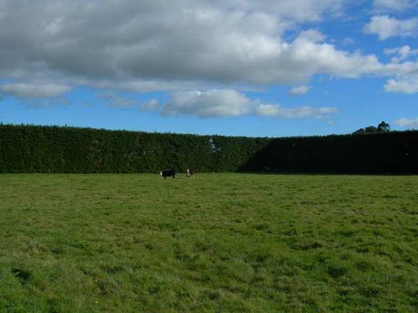 GREAT LOCATION Picture 3