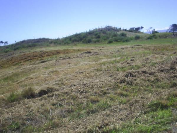 Sea views
with private beach access Picture 1