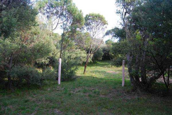 QUINTESSENTIAL PENINSULA Picture 2