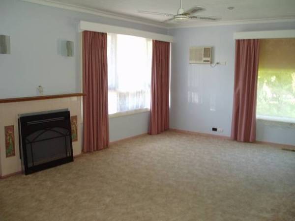 WHAT MORE COULD YOU WANT? Picture 3