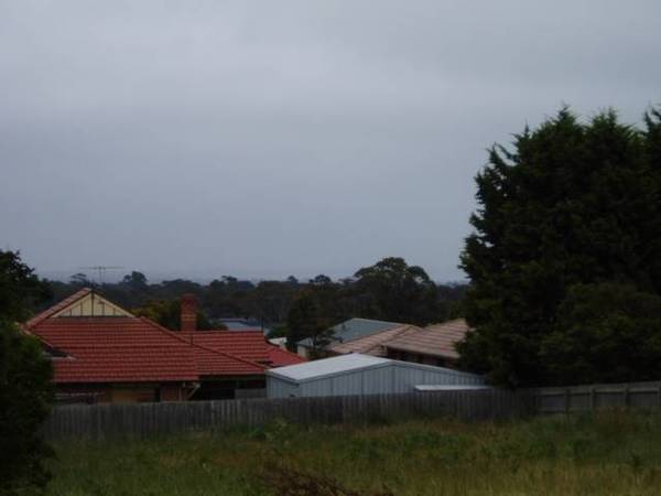 Rosebud Dress Circle Picture 3