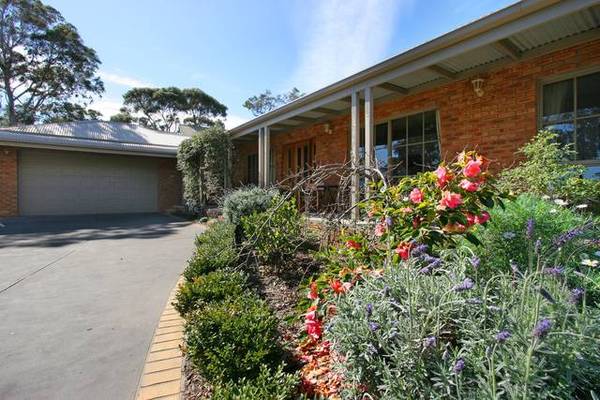 ESSENTIAL VIEWING Picture 1