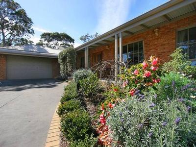 ESSENTIAL VIEWING Picture