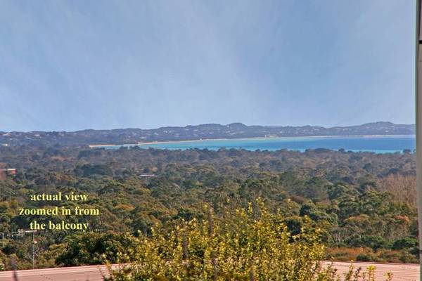 ESSENTIAL VIEWING Picture 2