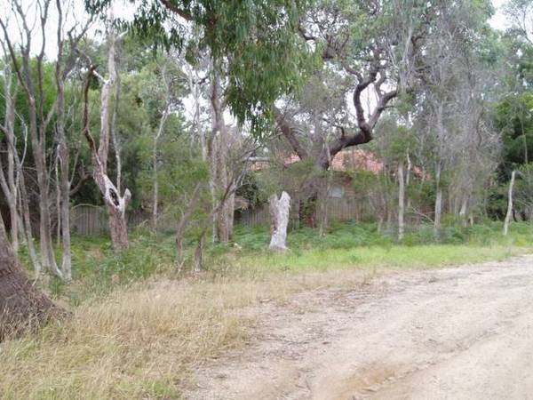 RARE OPPORTUNITY Picture