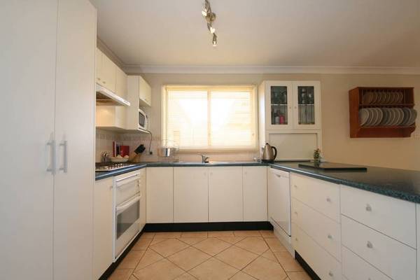 Presentation Plus! Picture 3