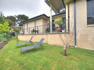 STAR QUALITY Picture