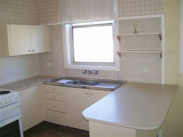 Great Starter Picture