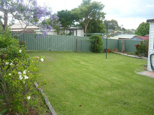 Dream Starter Picture