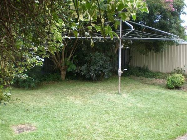 A Georgetown Classic Picture 3