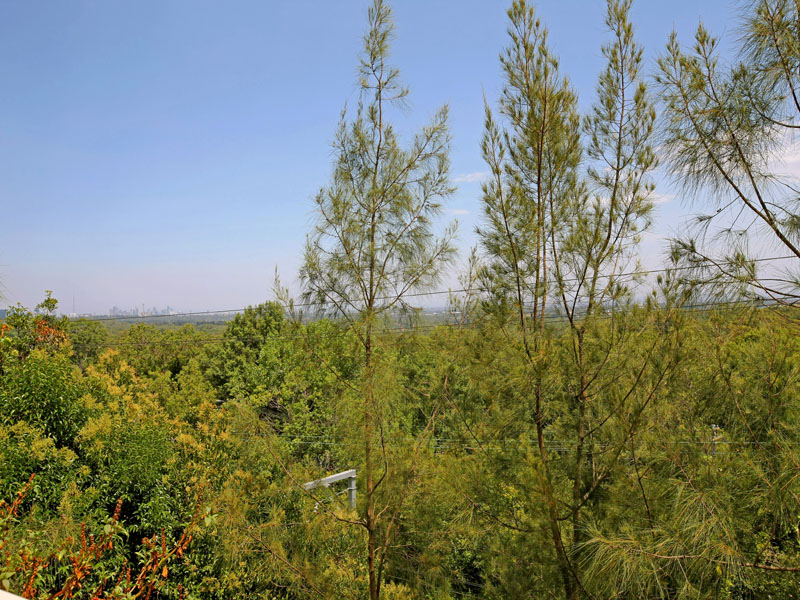 CITY VIEWS Picture 3