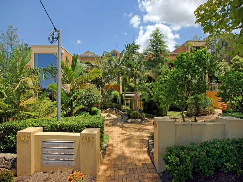 Delightful Picture 1