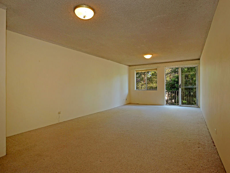 Fantastic Opportunity Picture 3