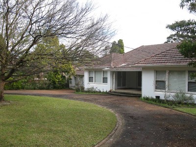 Golden Opportunity Picture