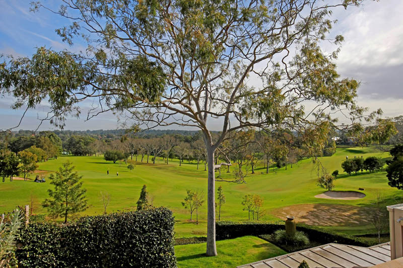 1000 ACRE VIEWS Picture 1