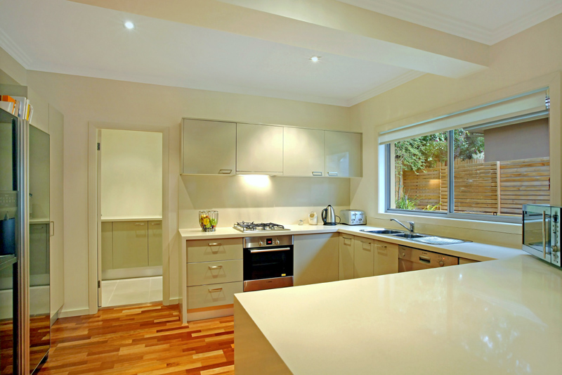 1 Year Young Picture 3