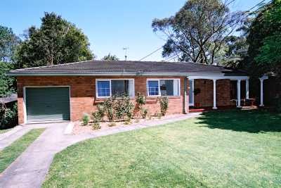 NOW LEASED MORE PROPERTIES NEEDED TO SERVICE THE DEMAND Picture