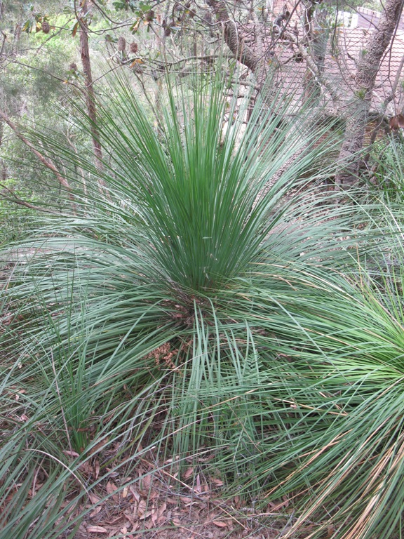 5 Storey Site
2371sqm Picture 3