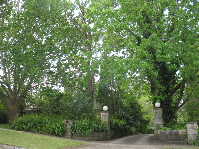 5 Storey Site
2371sqm Picture 1